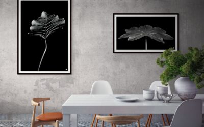 Rotation des œuvres et renouvellement artistique : dynamiser vos espaces toute l’année